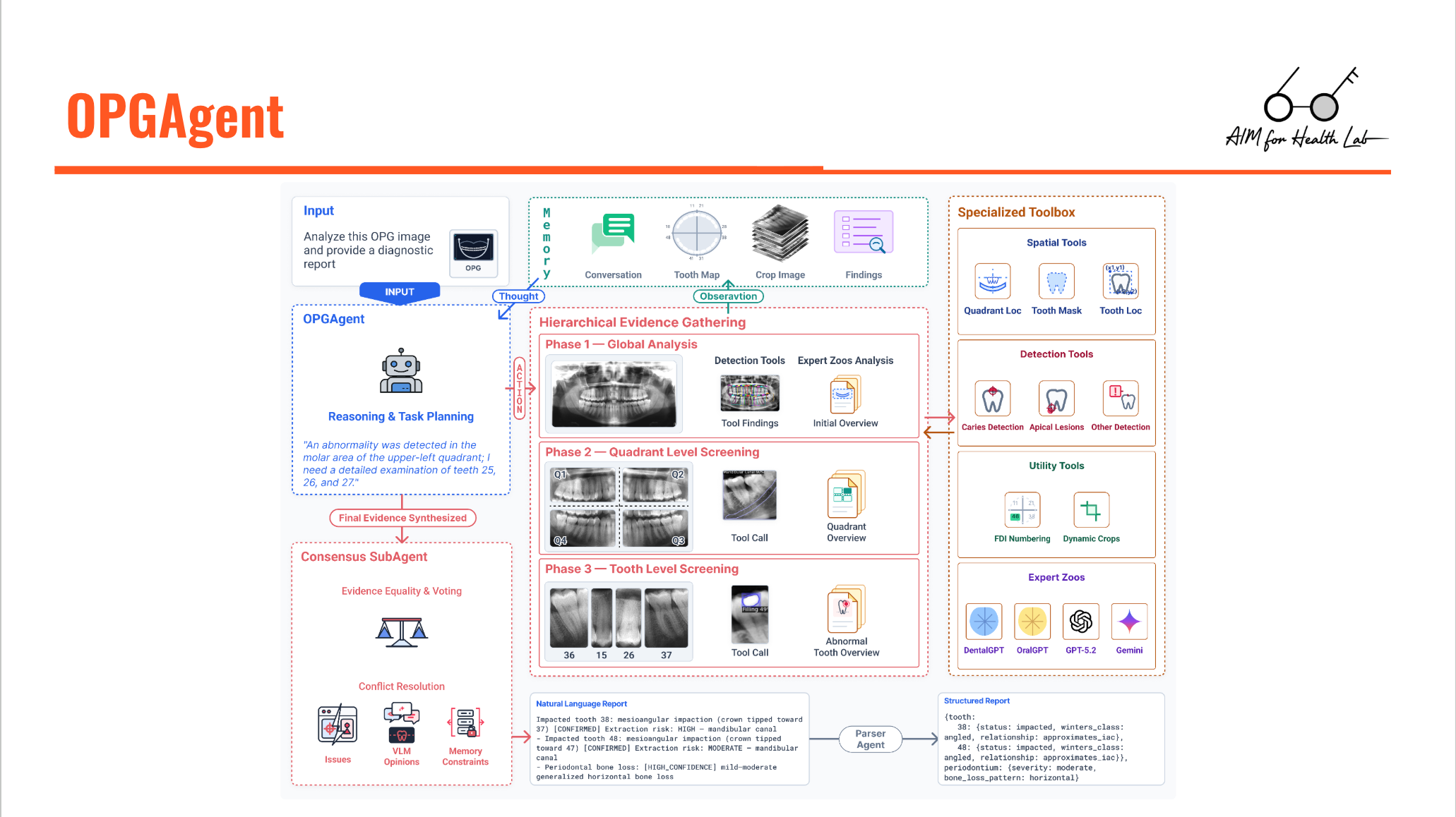 OPGAgent: An Agent for Auditable Dental Panoramic X-ray Interpretation